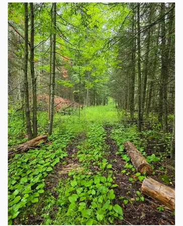 $139,900 | 4126 Mattson Road, Hibbing, MN 55746