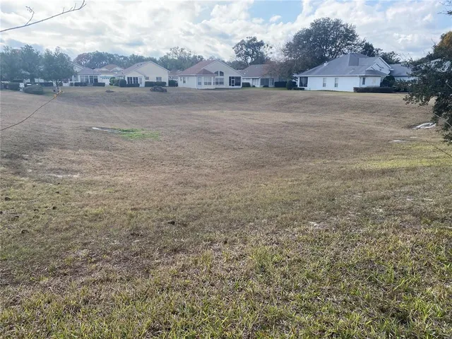 a view of a yard with plants and trees