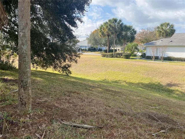 a view of a yard with a tree