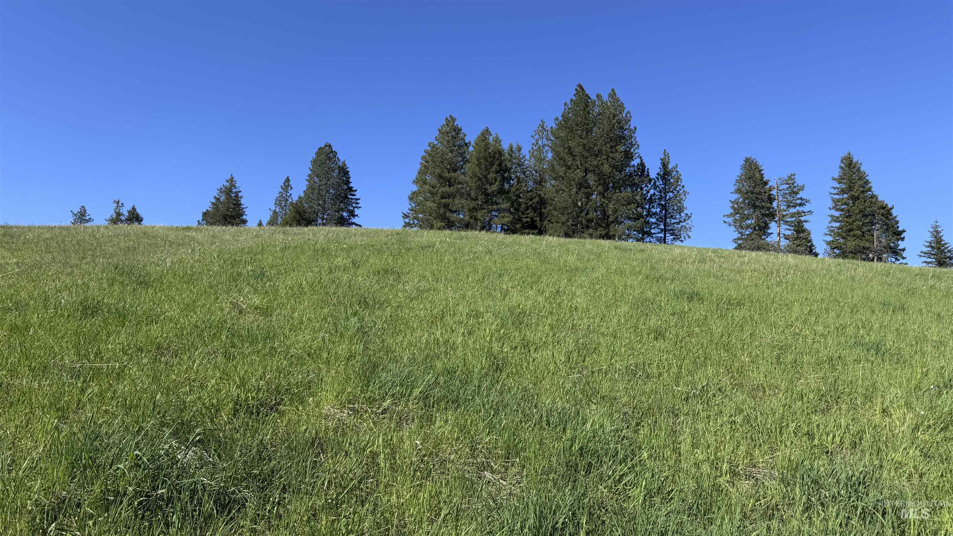 Tbd Harrisburg Road Kamiah, ID 83536 - Photo 24 of 50