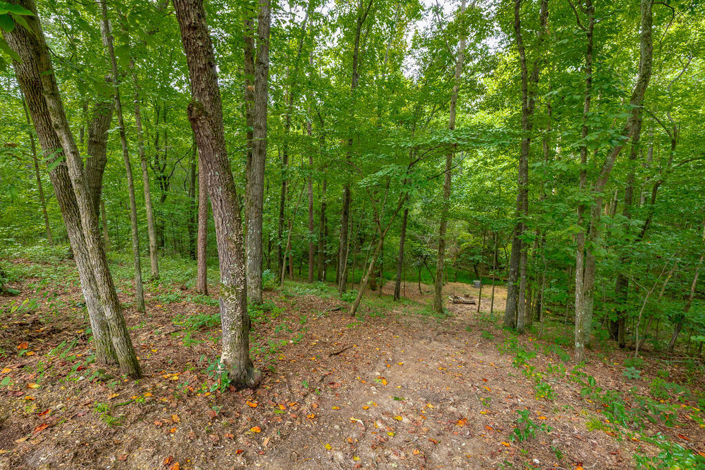 469 Round Pond Road LaFayette, GA 30728 - Photo 96 of 103 Gallery Image 96