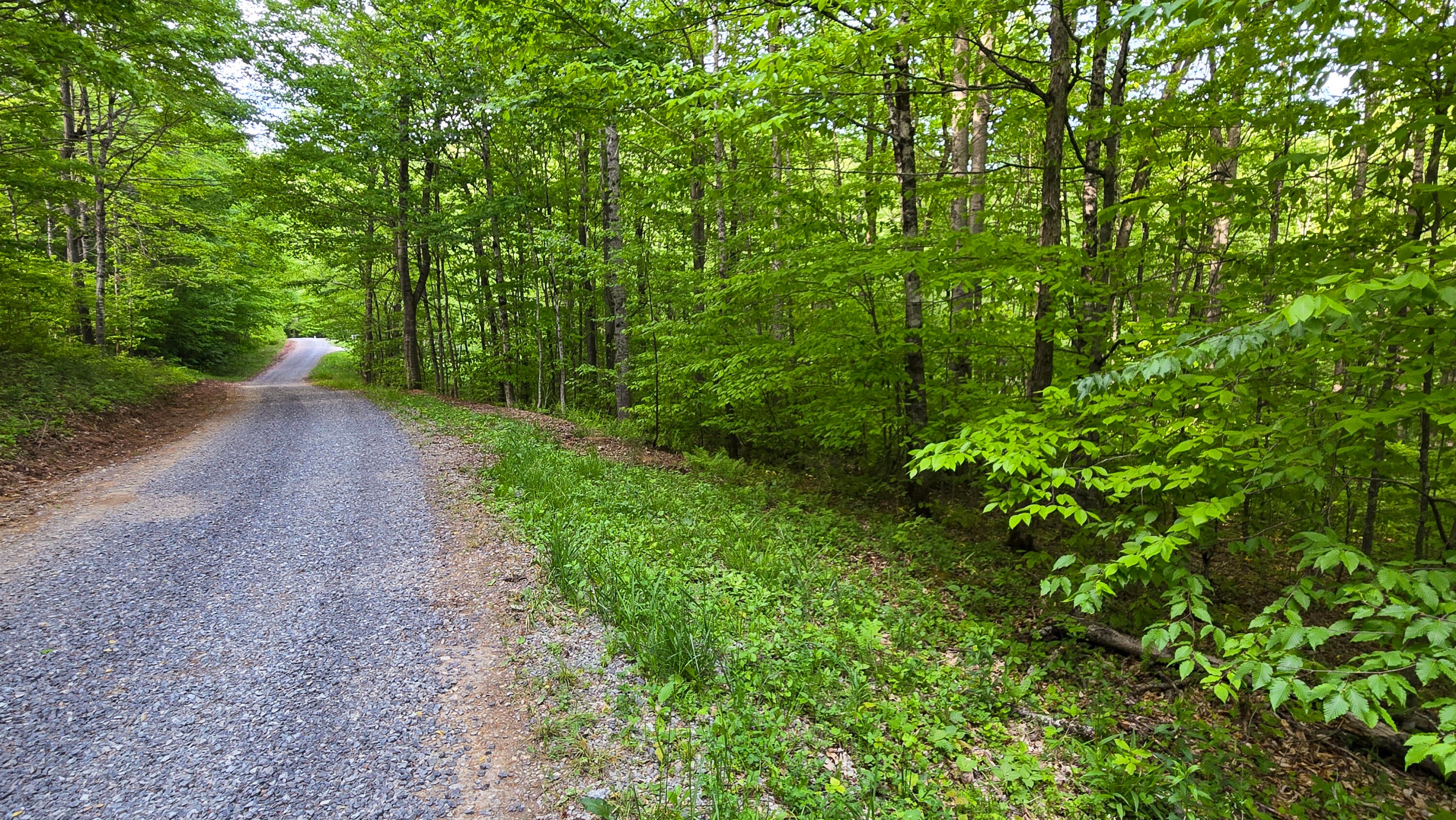Lot 14 Roberts Ridge Valley Head, WV 26294 - Photo 1 of 12 Gallery Image 1