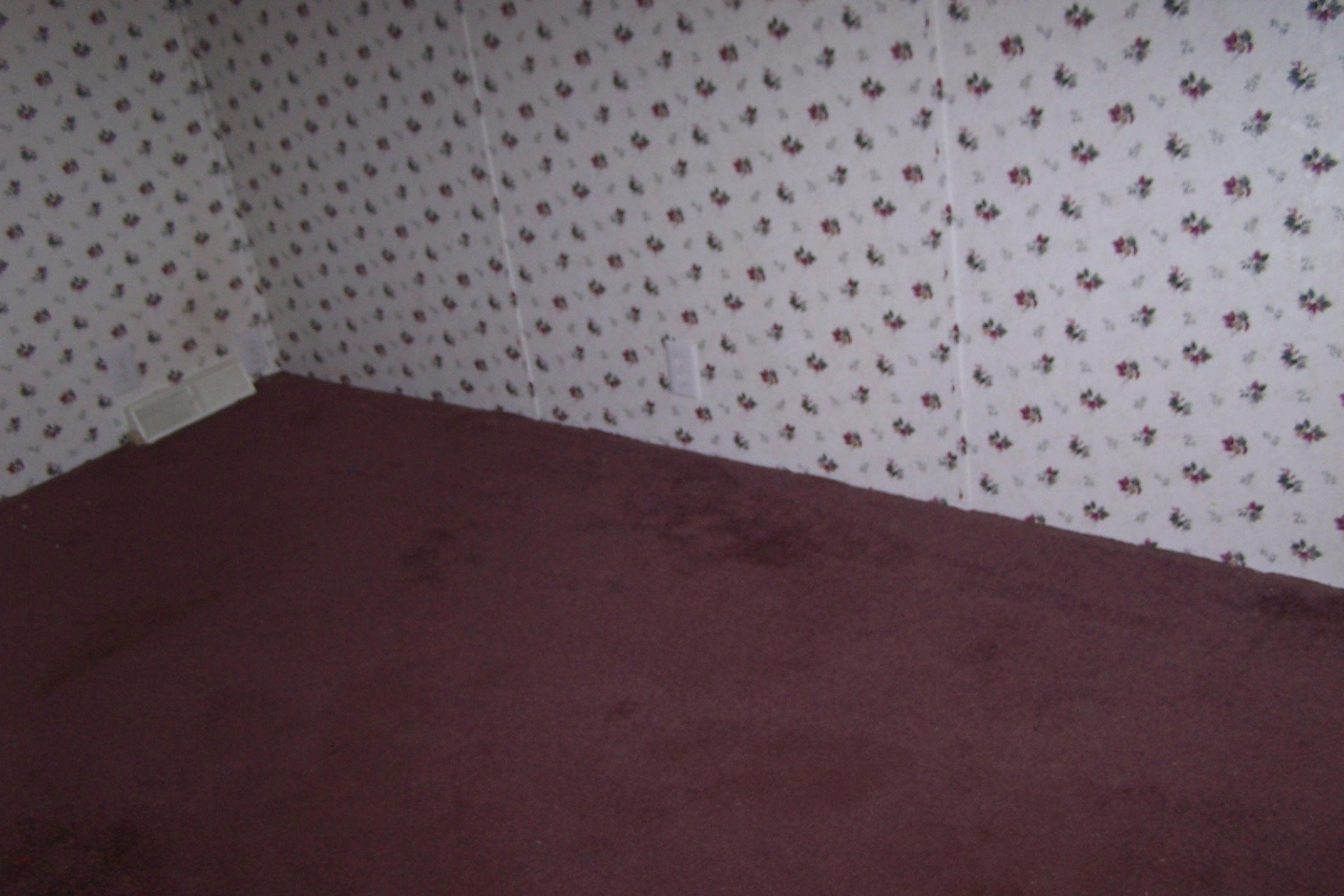 5295 East Valley Road Mount Pleasant, MI 48858 - Photo 19 of 21 100_6875