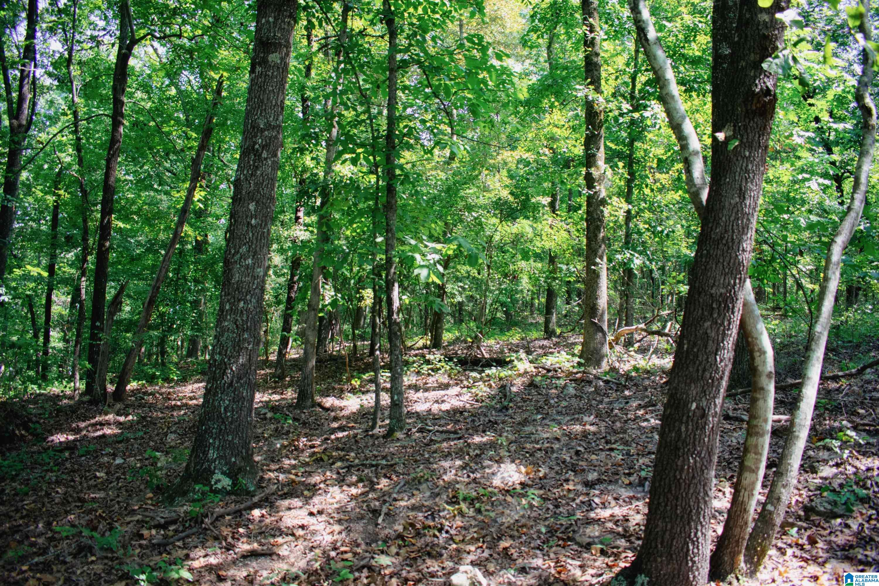 0 Mountain View Terrace, Unit 11 Talladega, AL 35160 - Photo 1 of 11