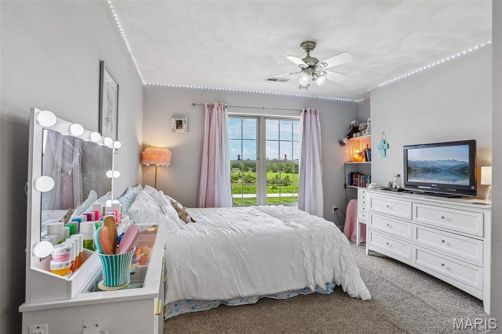 4389 Wagner Road Marine, IL 62061 - Photo 27 of 67