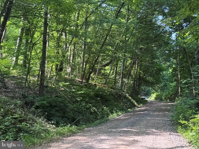 Tbd Locust Grove Road Thornton, WV 26440 - Photo 24 of 24