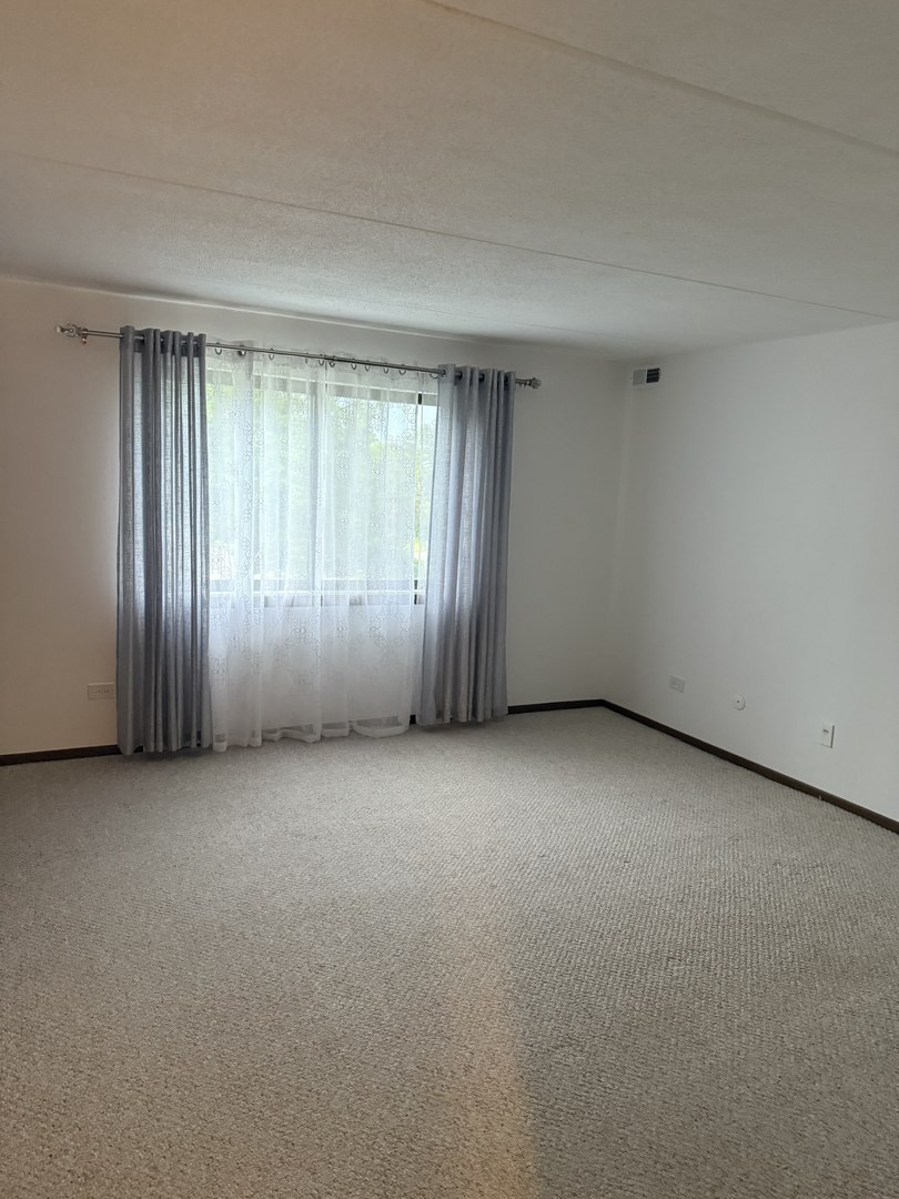 6950 West Forest Preserve Drive, Unit 202 Norridge, IL 60706 - Photo 8 of 15 an empty room with windows and closet