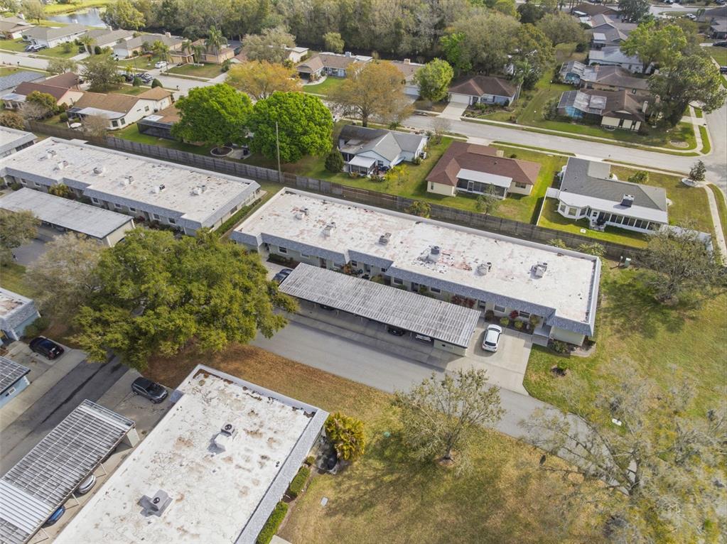 3300 Teeside Drive New Port Richey, FL 34655 - Photo 38 of 72