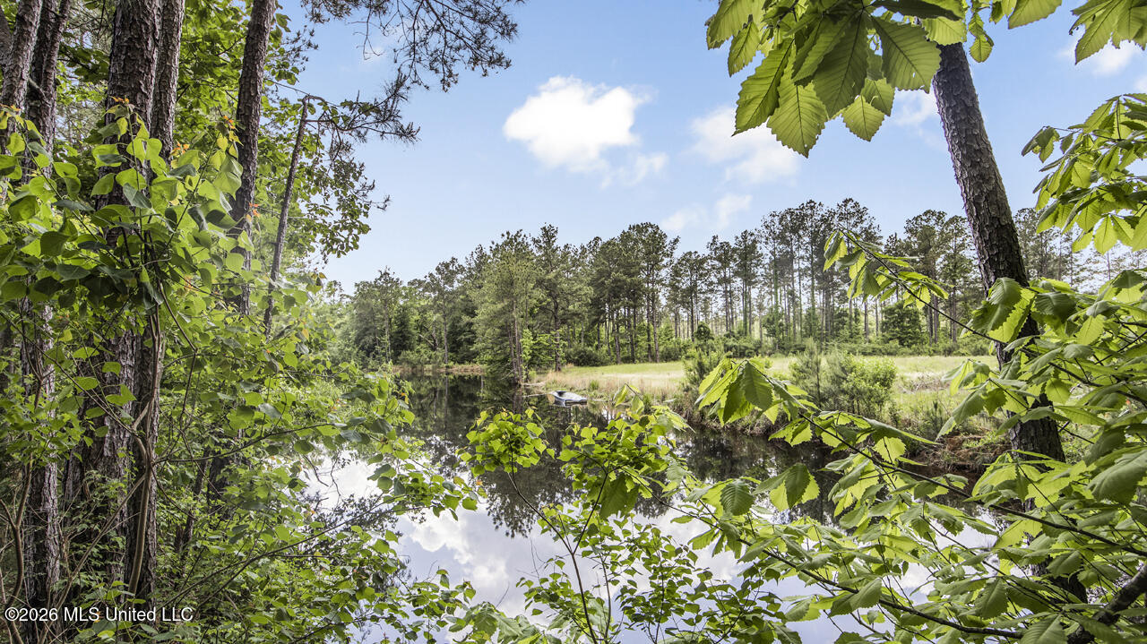 1021 Tyler Drive Summit, MS 39666 - Photo 19 of 47 570A1550
