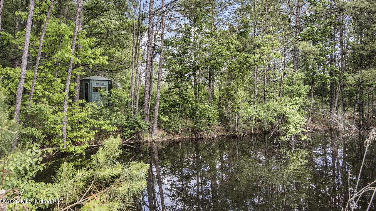 1021 Tyler Drive Summit, MS 39666 - Photo 20 of 47 570A1553