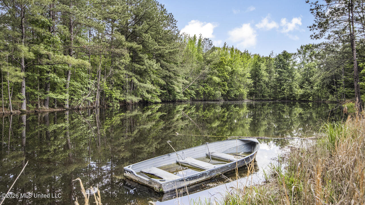 1021 Tyler Drive Summit, MS 39666 - Photo 21 of 47 570A1556