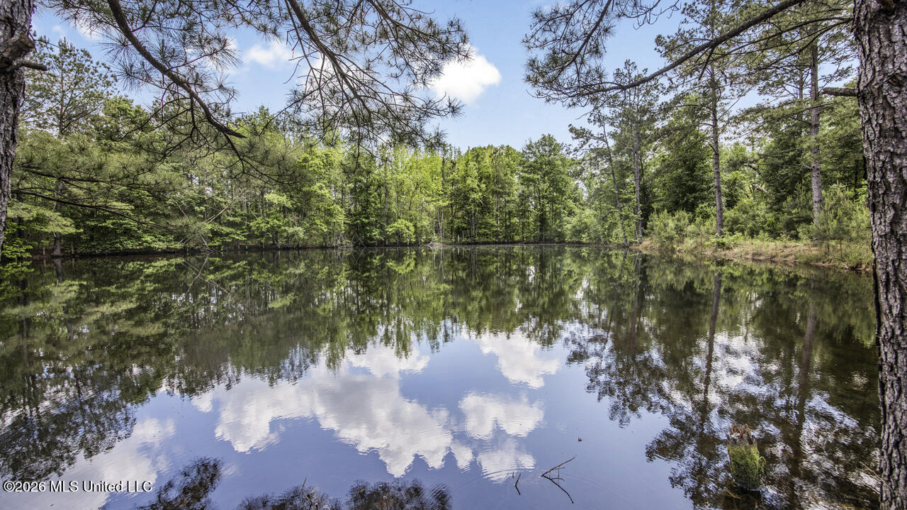 1021 Tyler Drive Summit, MS 39666 - Photo 22 of 47 570A1559
