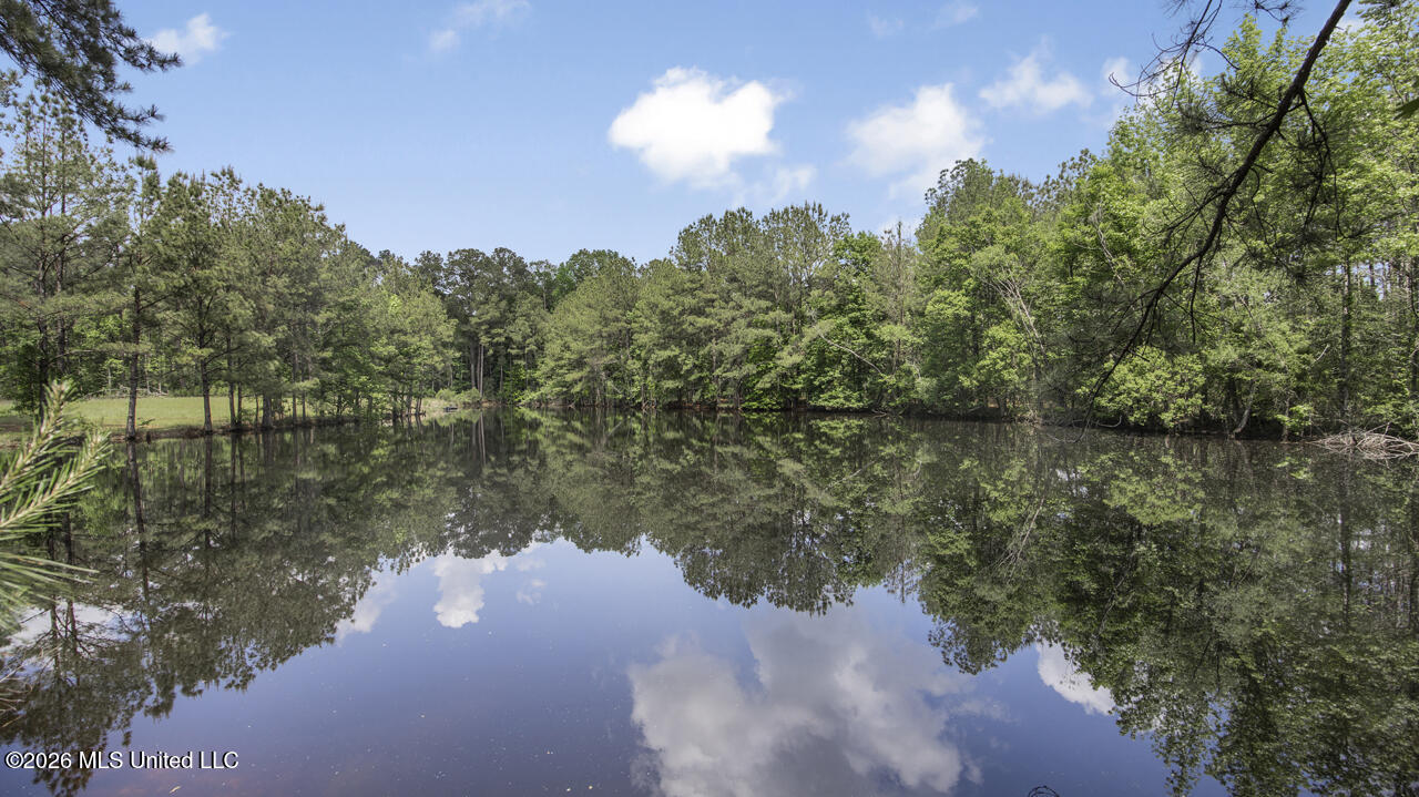 1021 Tyler Drive Summit, MS 39666 - Photo 23 of 47 570A1562