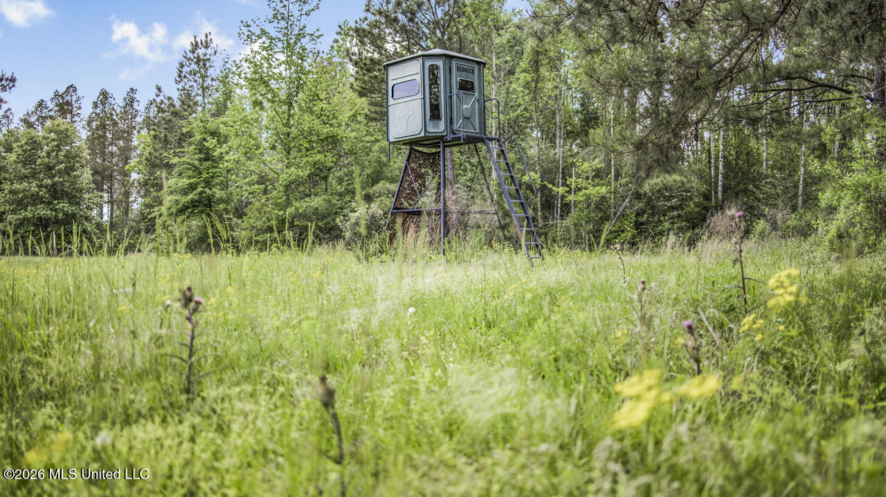 1021 Tyler Drive Summit, MS 39666 - Photo 24 of 47 570A1565