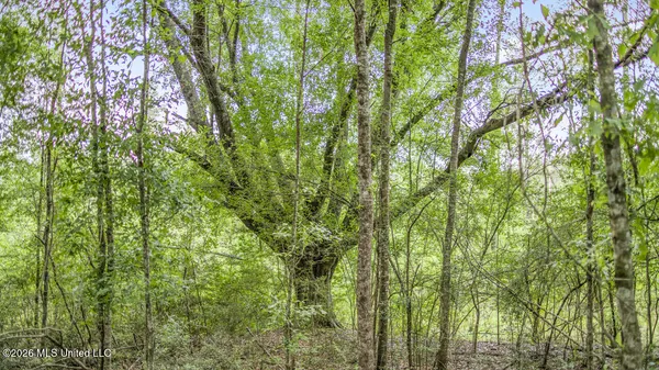 $725,000 | 1021 Tyler Drive, Summit, MS 39666