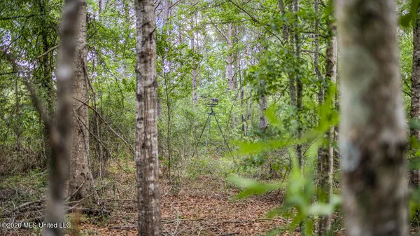 $725,000 | 1021 Tyler Drive, Summit, MS 39666