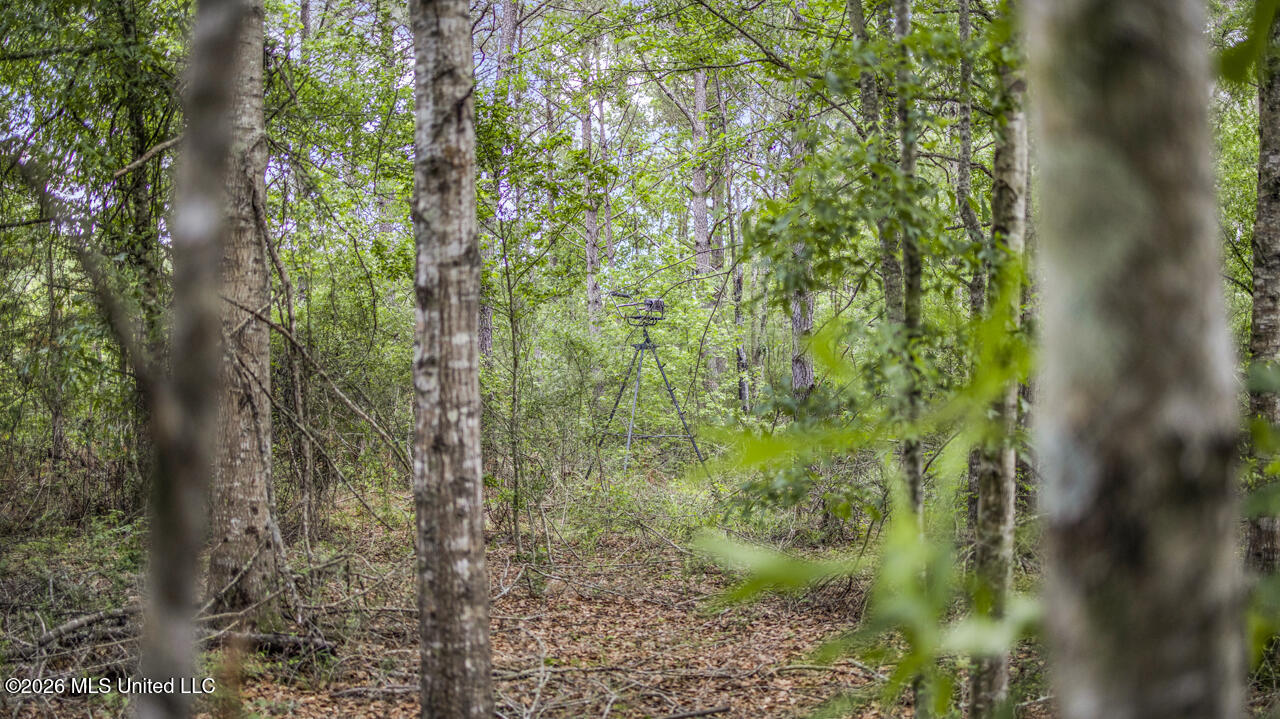 1021 Tyler Drive Summit, MS 39666 - Photo 26 of 47 570A1571