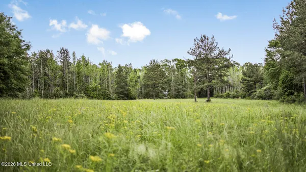 $725,000 | 1021 Tyler Drive, Summit, MS 39666