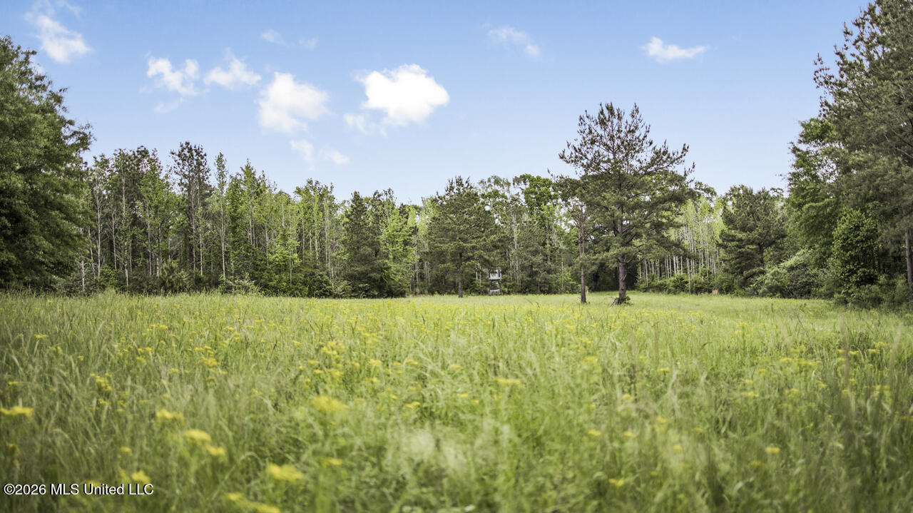 1021 Tyler Drive Summit, MS 39666 - Photo 27 of 47 570A1574