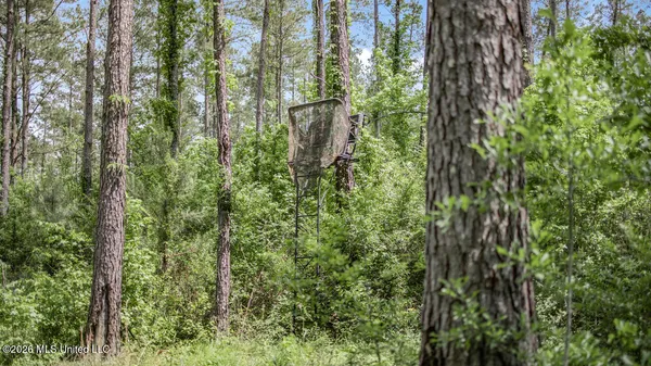 $725,000 | 1021 Tyler Drive, Summit, MS 39666