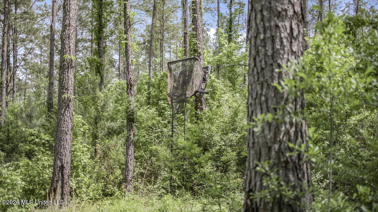 1021 Tyler Drive Summit, MS 39666 - Photo 28 of 47 570A1580