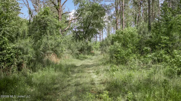 $725,000 | 1021 Tyler Drive, Summit, MS 39666