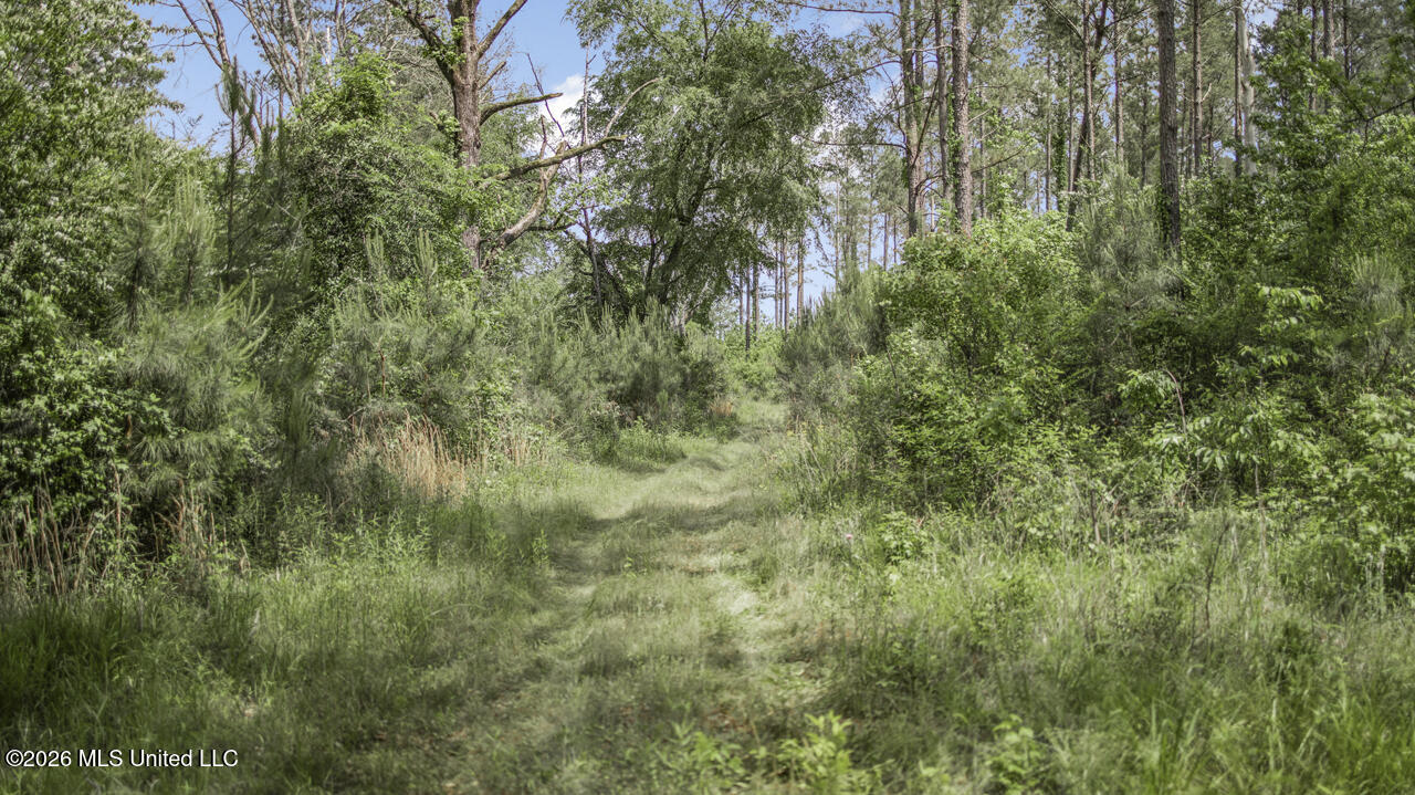 1021 Tyler Drive Summit, MS 39666 - Photo 29 of 47 570A1583