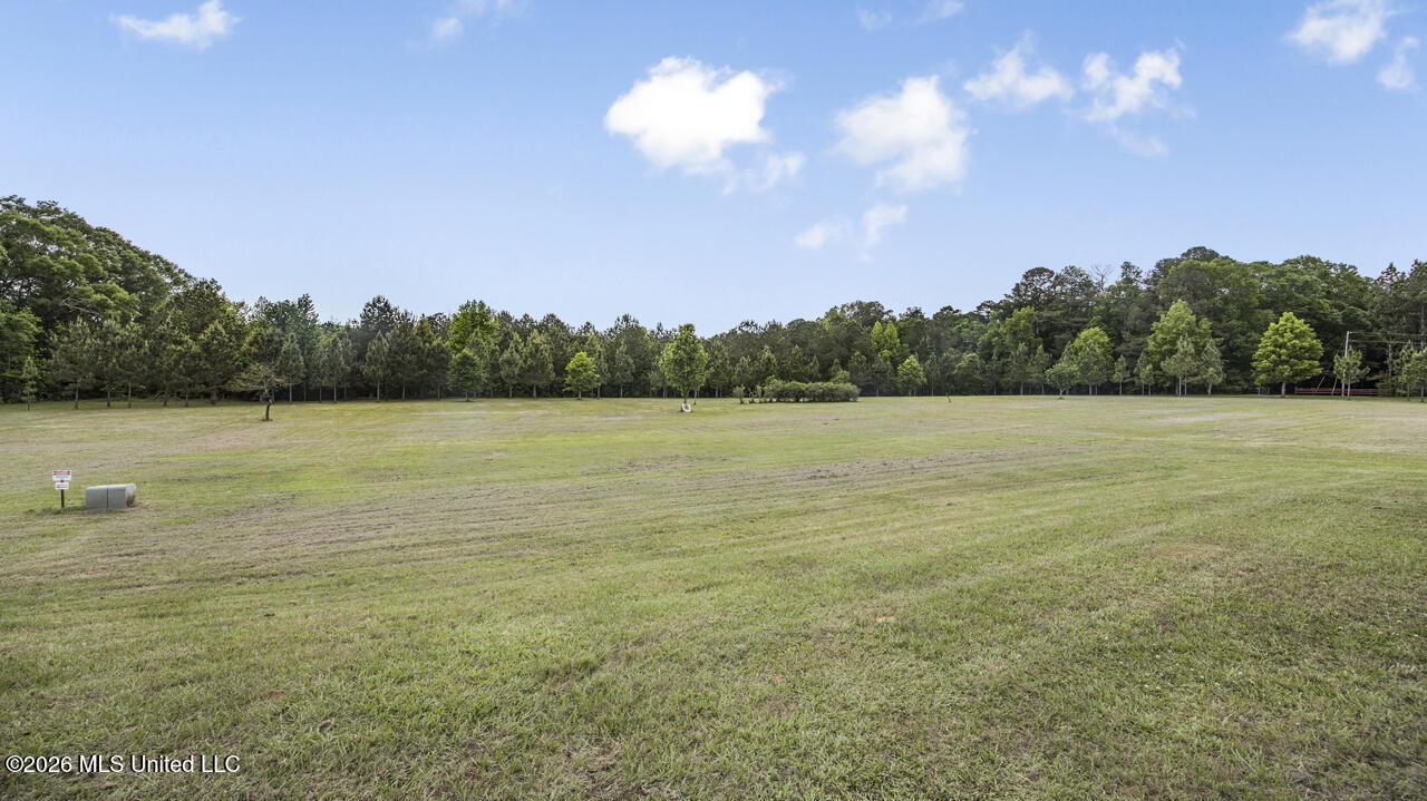 1021 Tyler Drive Summit, MS 39666 - Photo 31 of 47 570A1598