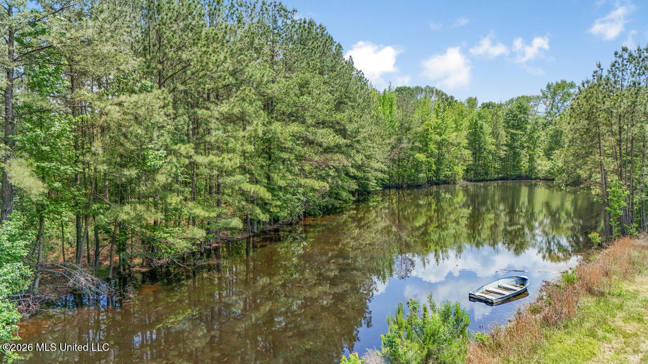 1021 Tyler Drive Summit, MS 39666 - Photo 34 of 47 DJI_20250426134211_0188_D