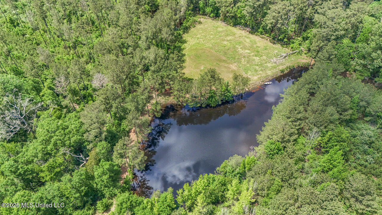 1021 Tyler Drive Summit, MS 39666 - Photo 36 of 47 DJI_20250426134431_0197_D