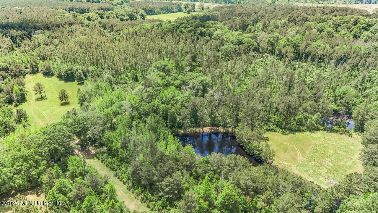 1021 Tyler Drive Summit, MS 39666 - Photo 37 of 47 DJI_20250426134517_0200_D