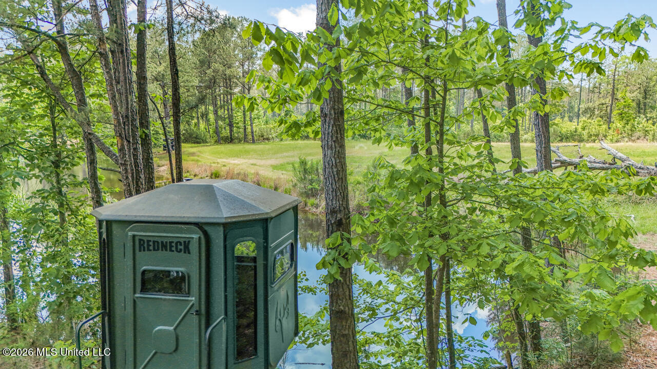 1021 Tyler Drive Summit, MS 39666 - Photo 38 of 47 DJI_20250426134636_0206_D