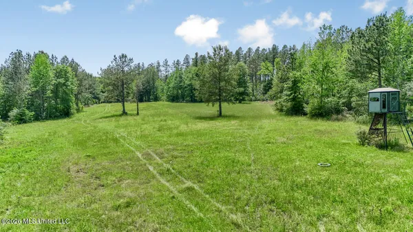 $725,000 | 1021 Tyler Drive, Summit, MS 39666