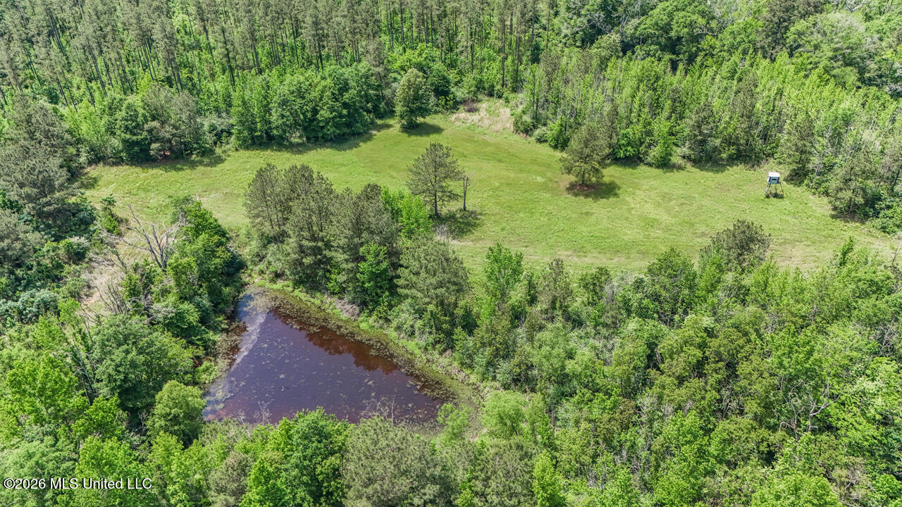 1021 Tyler Drive Summit, MS 39666 - Photo 40 of 47 DJI_20250426140010_0214_D
