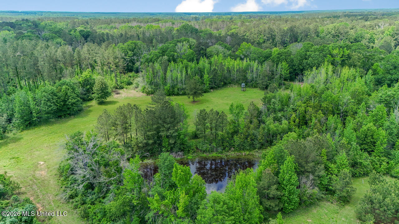 1021 Tyler Drive Summit, MS 39666 - Photo 42 of 47 DJI_20250426141905_0226_D