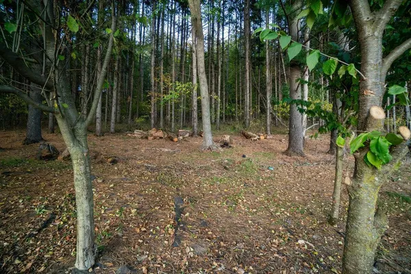 $475,000 | 328 Nordveien Drive, Boyceville, WI 54725