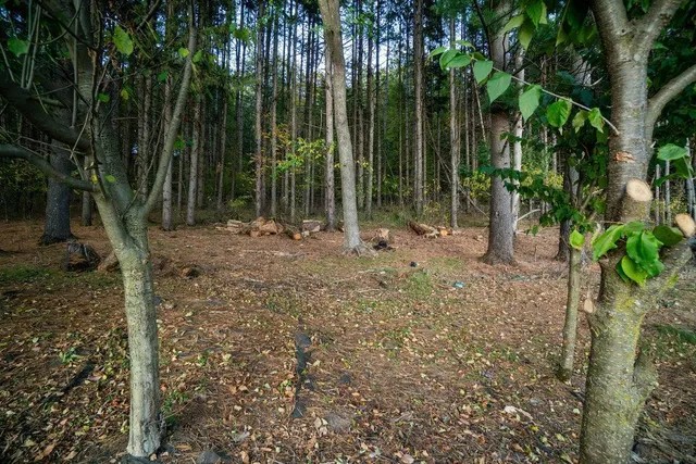 $475,000 | 328 Nordveien Drive, Boyceville, WI 54725