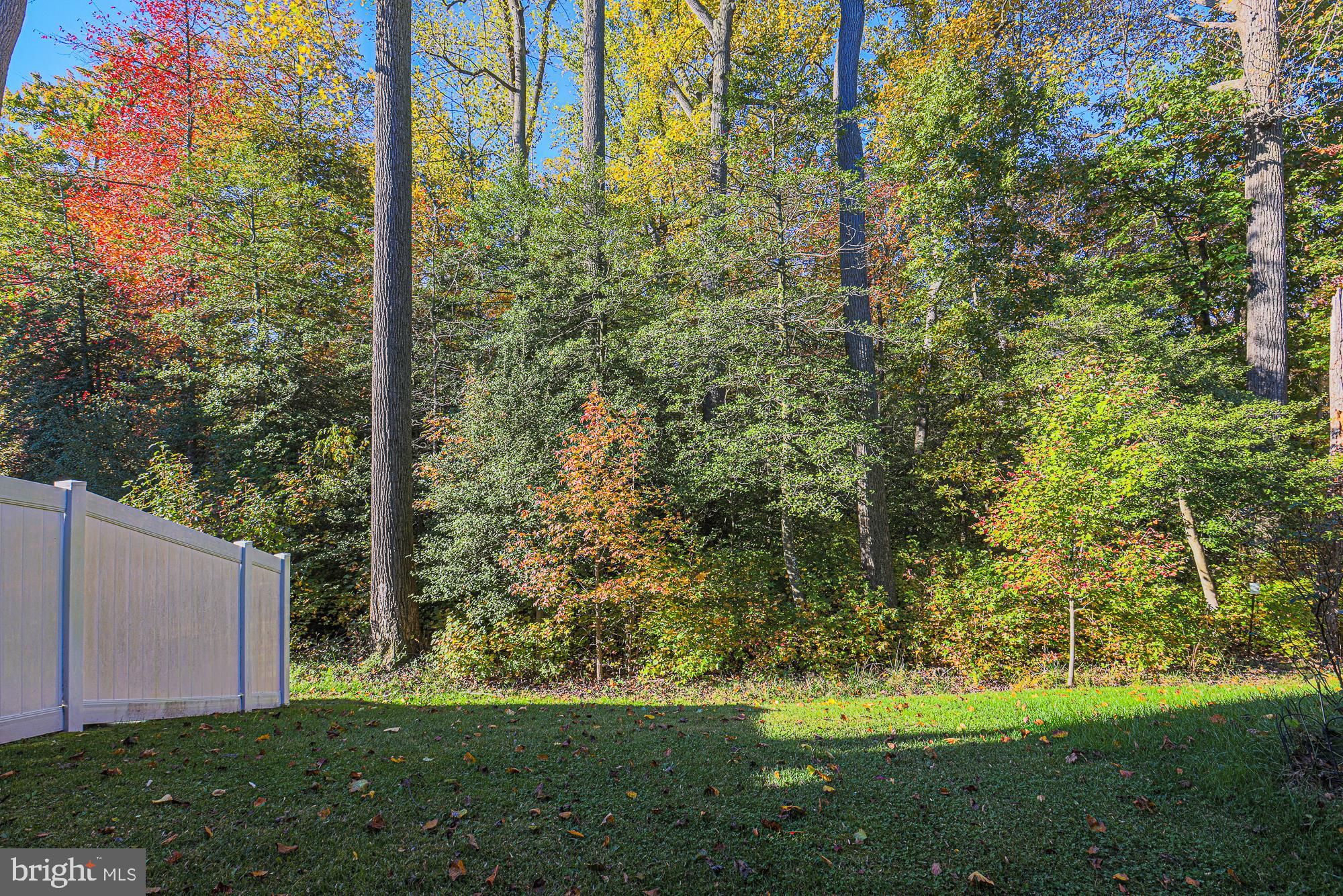 1004 Ramble Run Road Middle River, MD 21220 - Photo 31 of 32