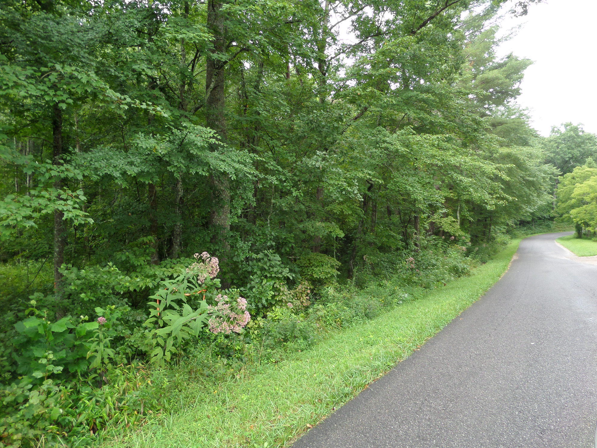 600 Coon Hollow Road Sunbright, TN 37872 - Photo 1 of 16 SAM_3615