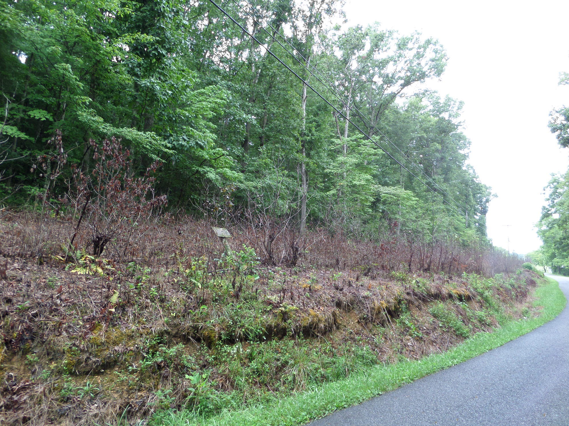 600 Coon Hollow Road Sunbright, TN 37872 - Photo 12 of 16 SAM_3618