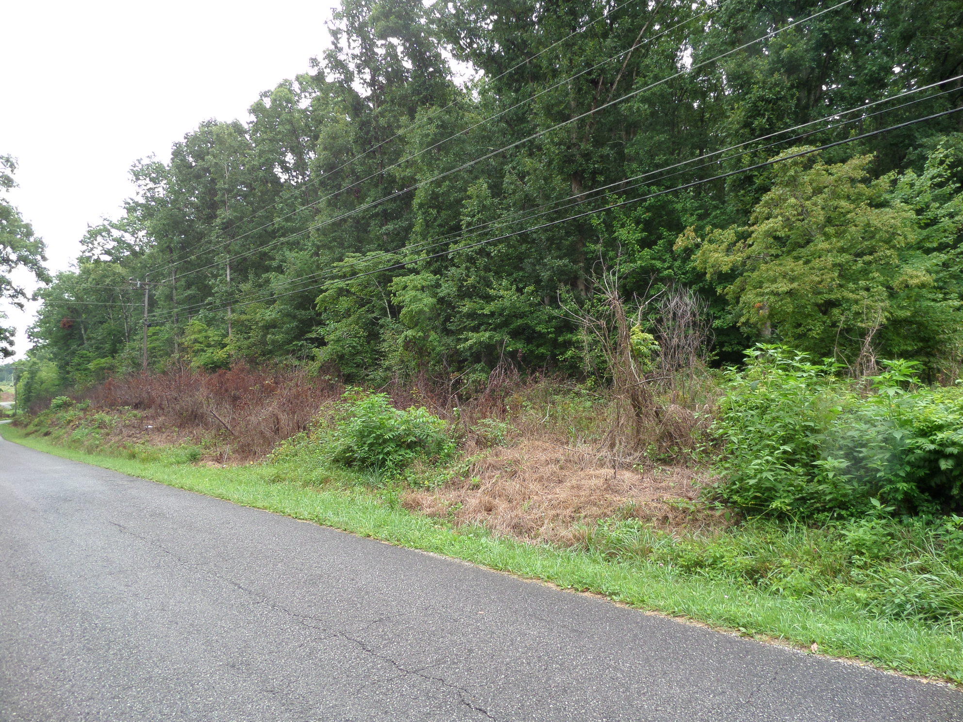 600 Coon Hollow Road Sunbright, TN 37872 - Photo 16 of 16 SAM_3621