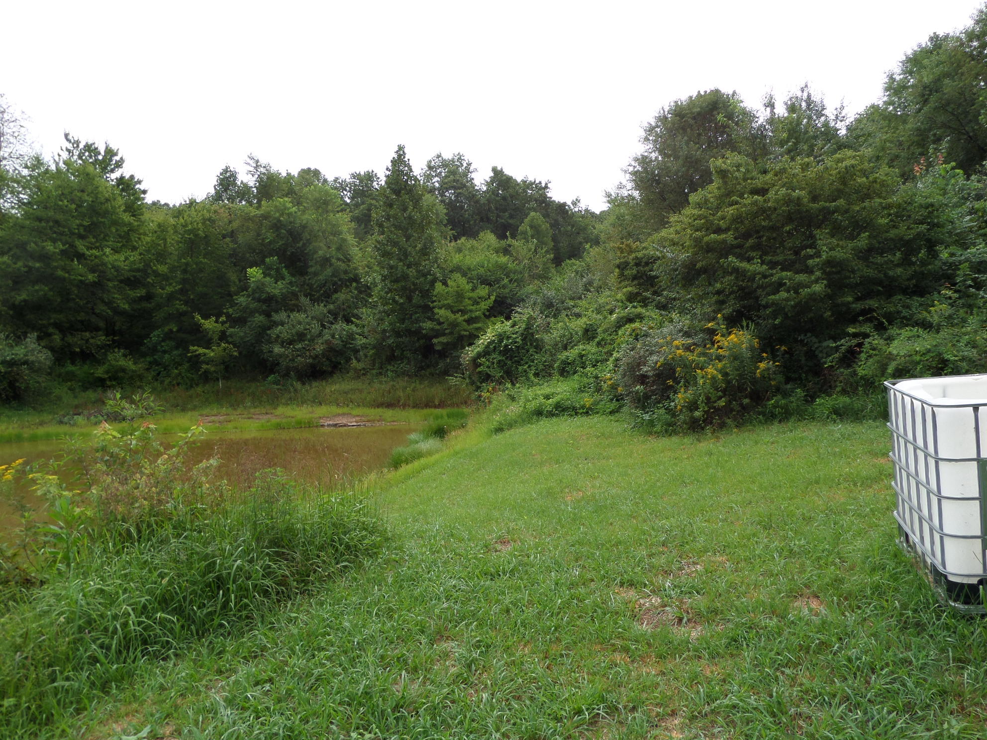 600 Coon Hollow Road Sunbright, TN 37872 - Photo 5 of 16 SAM_3630