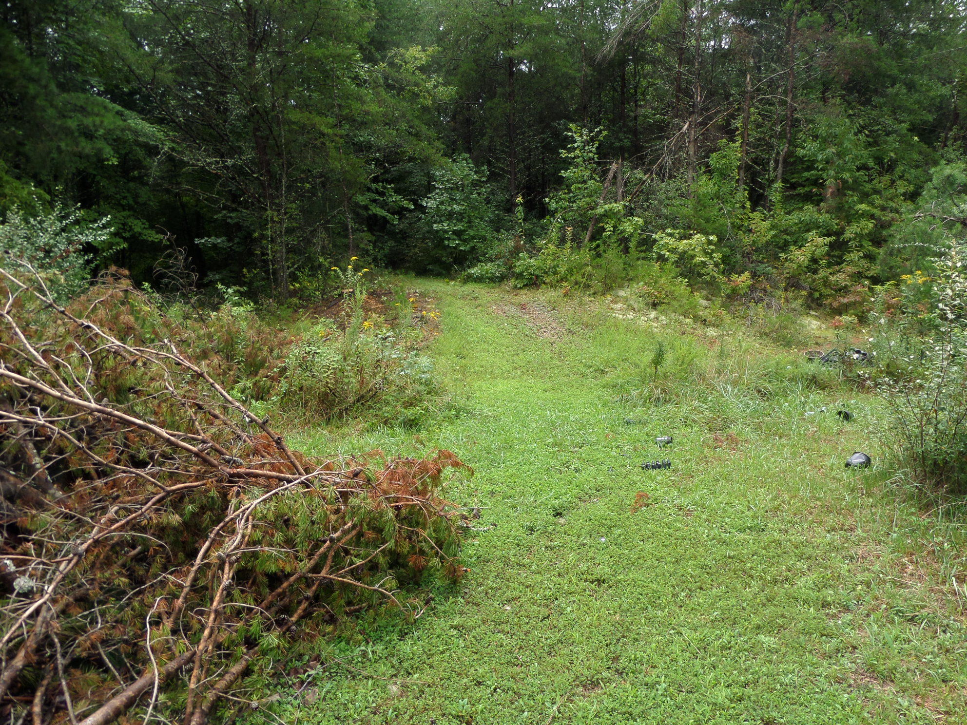 600 Coon Hollow Road Sunbright, TN 37872 - Photo 8 of 16 SAM_3633