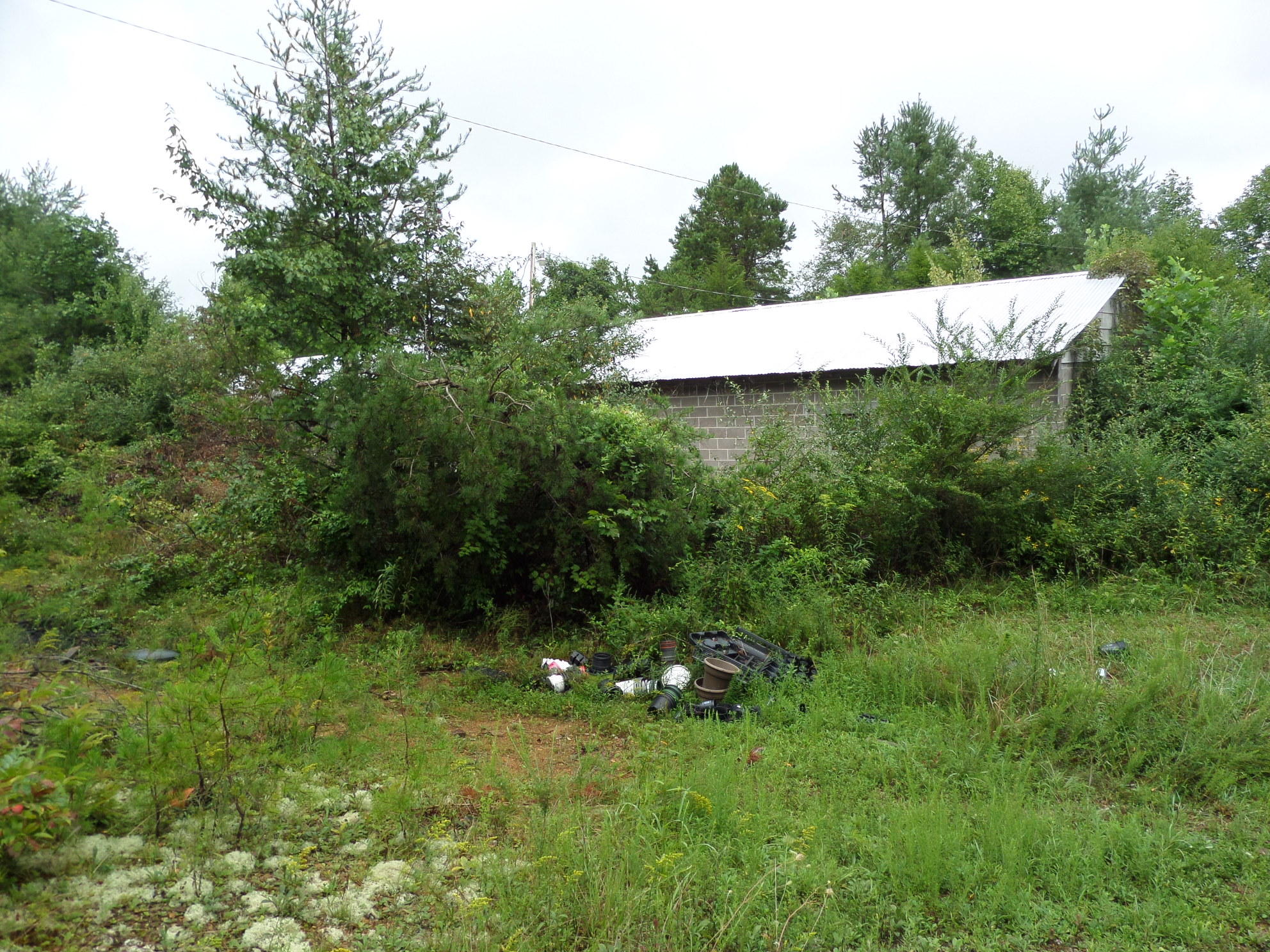 600 Coon Hollow Road Sunbright, TN 37872 - Photo 10 of 16 SAM_3635