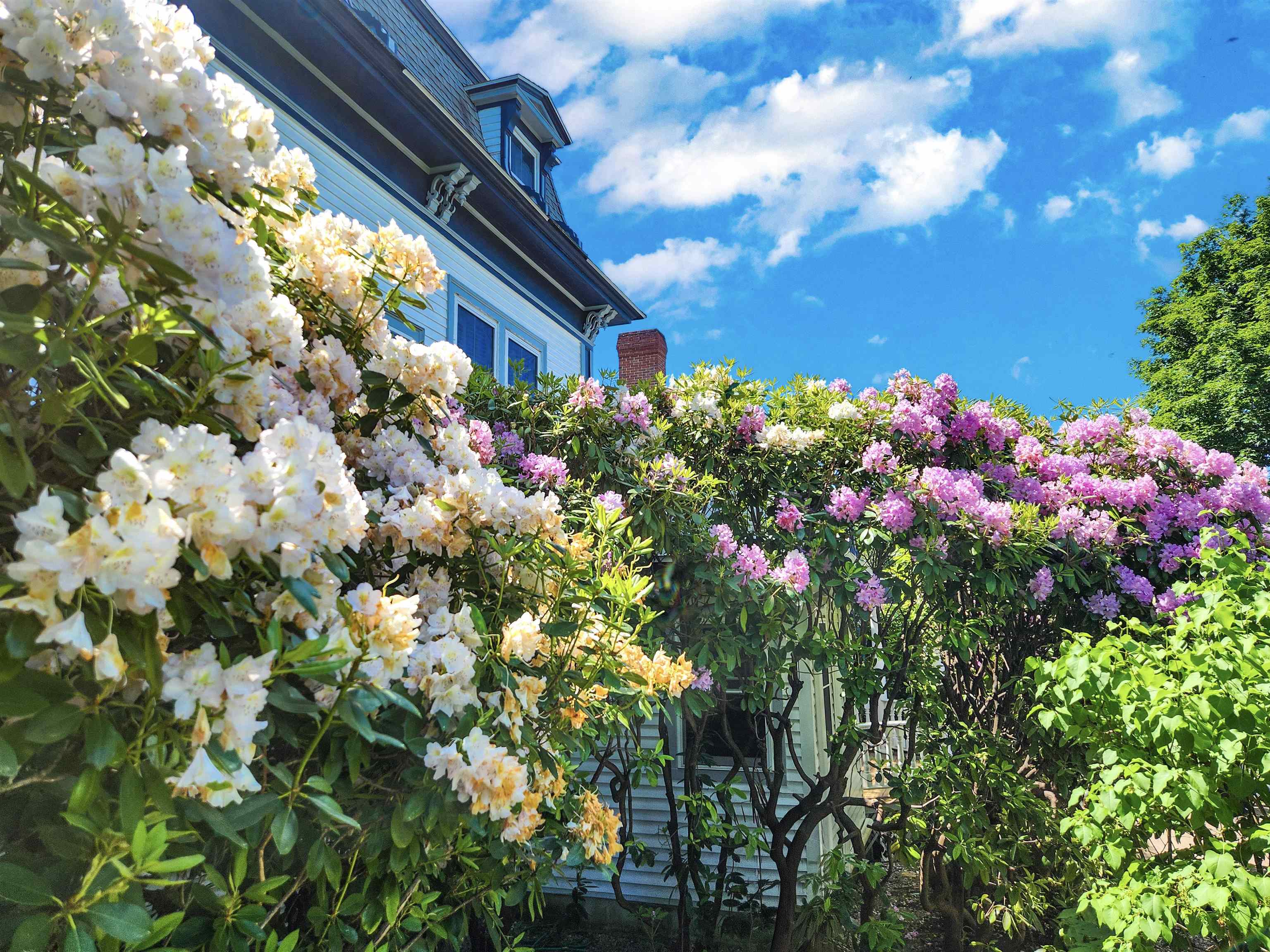 1 Fairway Drive Rye, NH 03871 - Photo 53 of 55