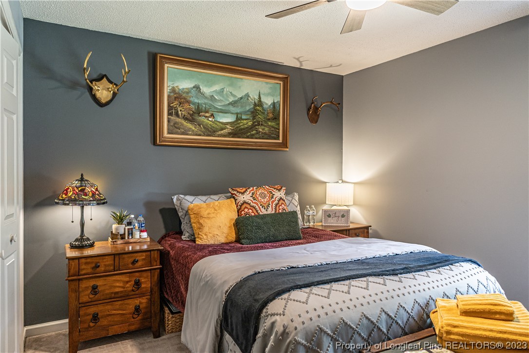 3 Red Cedar Lane Pinehurst, NC 28374 - Photo 14 of 20 a bedroom with a bed and painting on the wall