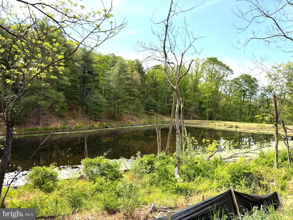a view of a lake with a yard