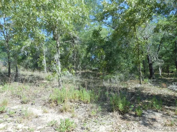 $23,000 | 5225 East Prentice Lane, Inverness, FL 34452