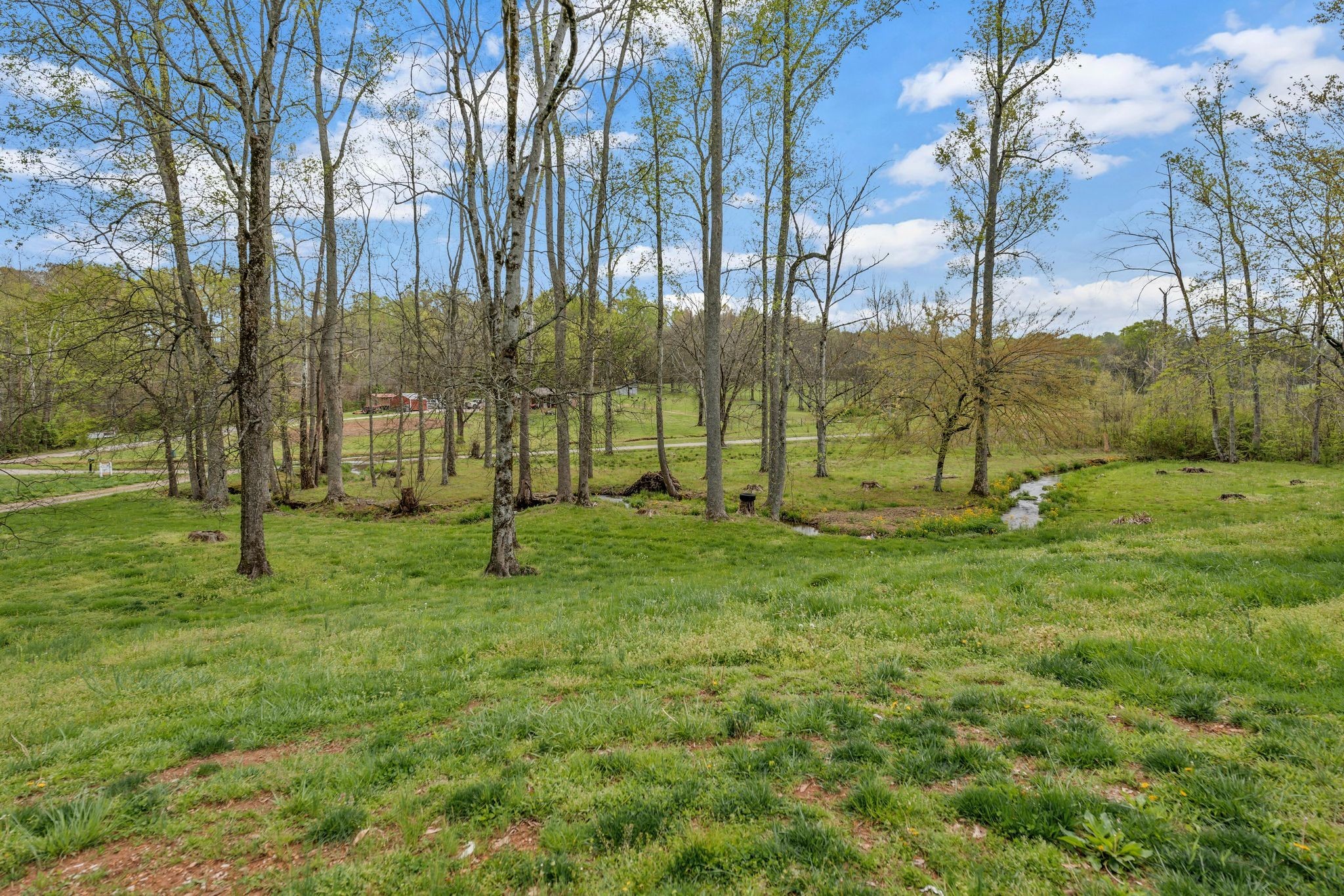 90 Day Road Leoma, TN 38468 - Photo 3 of 19