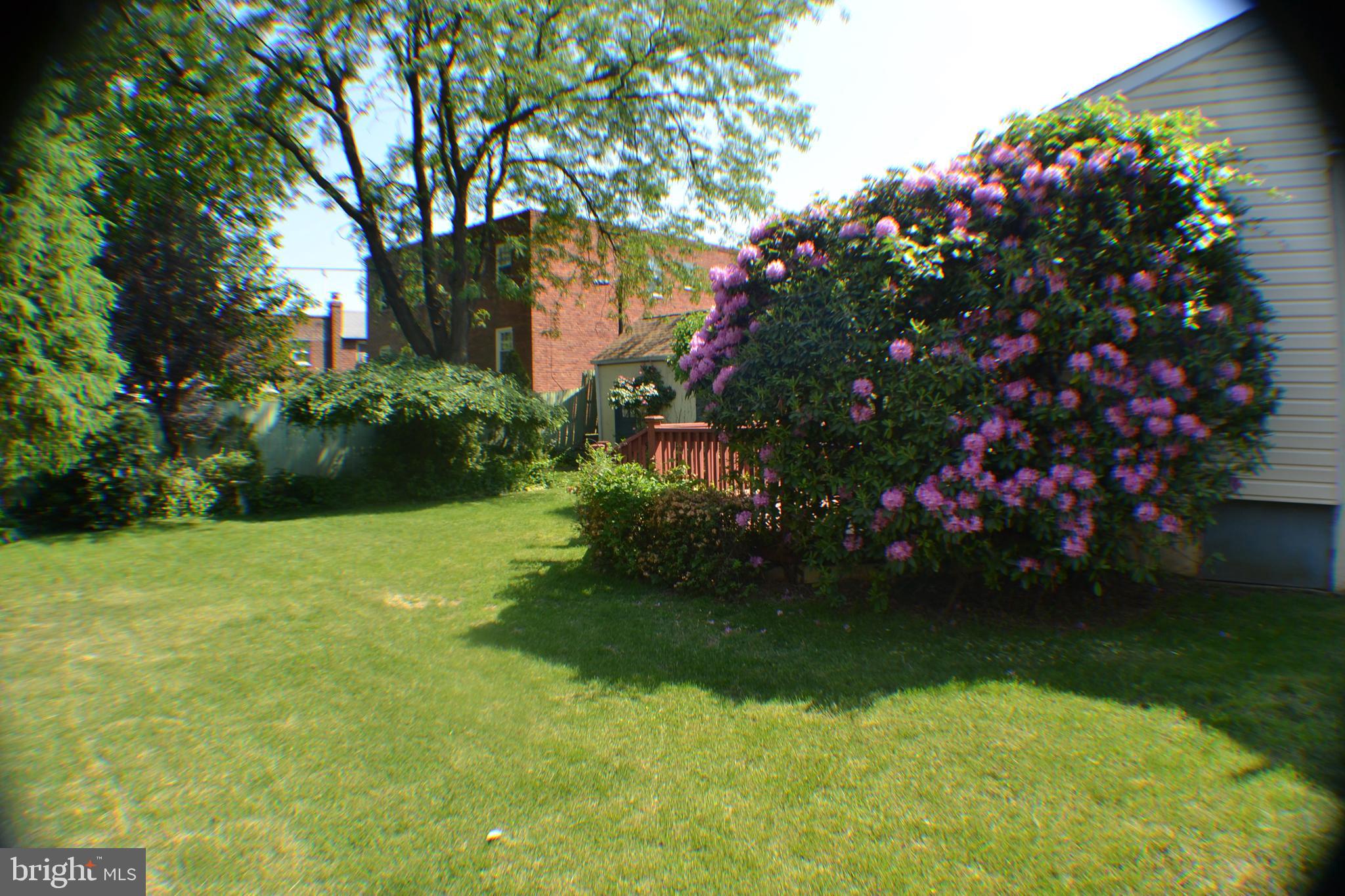7505 Dungan Road Philadelphia, PA 19111 - Photo 2 of 15 Side Yard